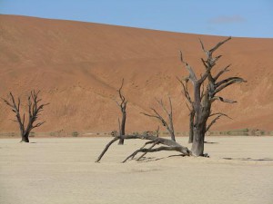 dag 6b deadvlei